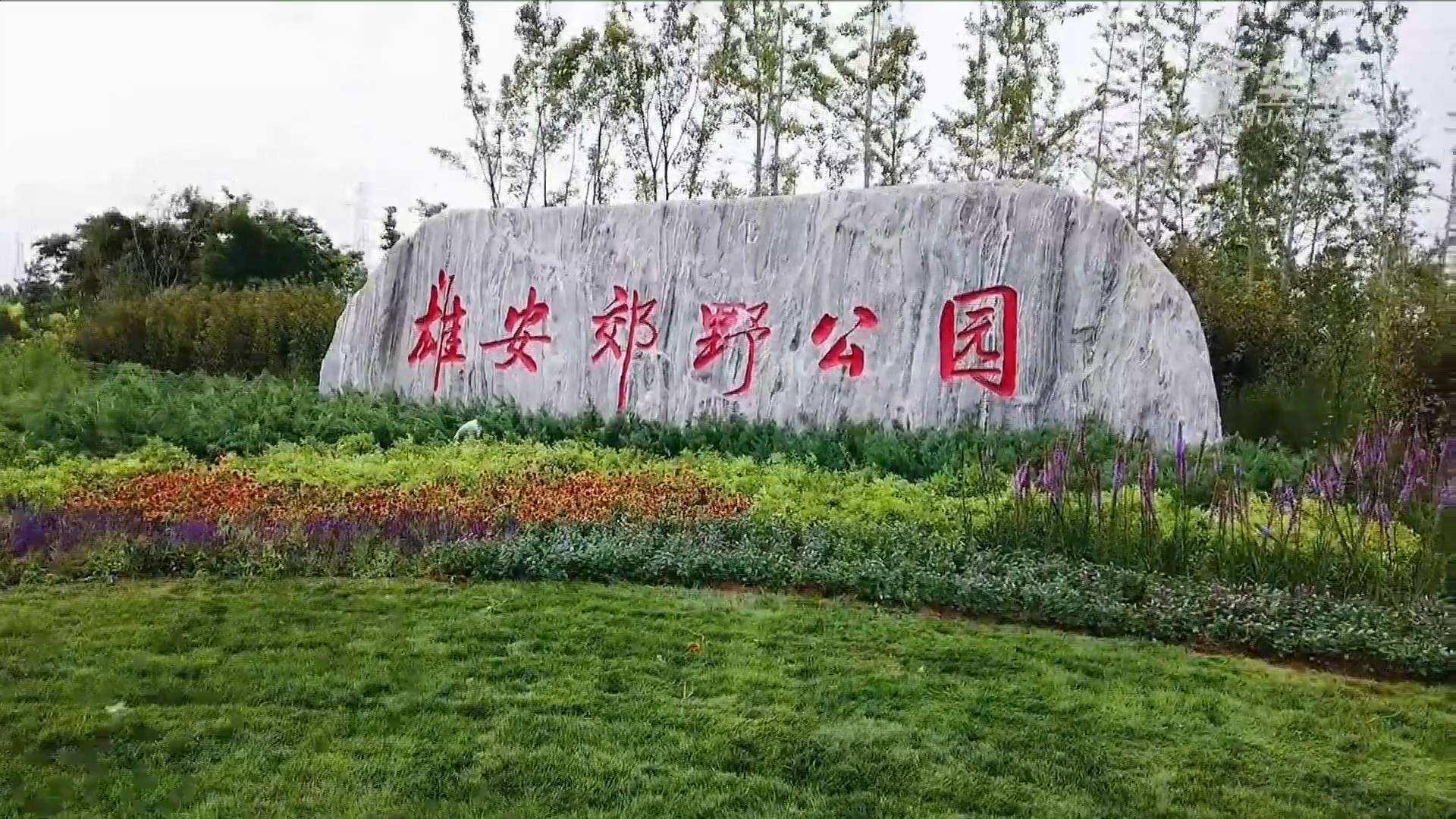 mg冰球突破电气雄安野外公园建设工程及配套设施项目
