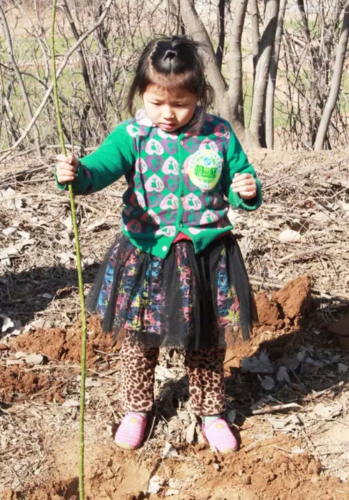 mg冰球突破·豪华版(试玩)官网首页