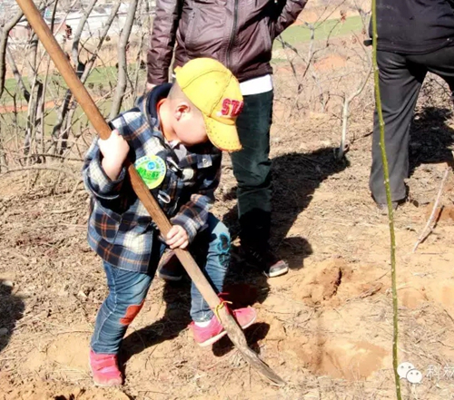 mg冰球突破·豪华版(试玩)官网首页